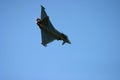 Eurofighter Typhoon at RAF Fairford air tattoo Royalty Free Stock Photo