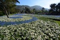 Euroflora 2018 exhibition. Parchi di Nervi. Genoa. Italy