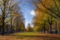 Euromast observation tower in Rotterdam, Netherlands. City park trees and green grass, sunny autumn day