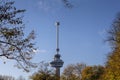 Euromast observation tower in Rotterdam, Netherlands. City park trees and green grass, sunny autumn day