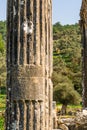 Euromus or Euromos Ancient City. Temple of Zeus Lepsinos. Milas, Mugla, Turkey. Kyromos, Hyromos. Translation of: dedicated