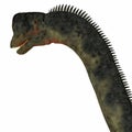 Europasaurus Dinosaur Head