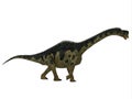 Europasaurus Dinosaur Side Profile