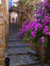 Europe, France, Corsica, alley in a village