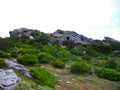 Europe, France, Corsica, sheepfold in the maquis