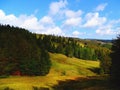 Alsace, field of Markstein, hostel Le Steinlebach