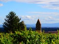France, Great East, Alsace, Haut Rhin, village of Pfaffenheim surrounded by vineyards