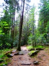 France, Great East, Alsace, mountain trail