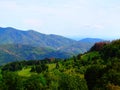 France, Great East, Alsace, mountain trail