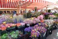 Europe Southern France Nice CÃÂ´te dÃ¢â¬â¢Azur Cours Saleya Provence Fresh Colorful French Flower Bouquet Farmers Market Floral Gifts