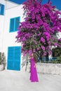 Europe Greece Santorini. Beautiful Woman in long purple dress e