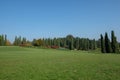 Europe, Italy, Veneto, Verona, Sigurta Park, Meadow