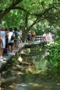 Europe Nature Outdoor Recreation Activities Croatia Krka National Park Waterfall Outing Summer Sunshine Hiking Trail Swim Tour