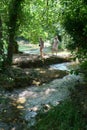 Europe Nature Outdoor Recreation Activities Croatia Krka National Park Waterfall Outing Summer Sunshine Hiking Trail Swim Tour