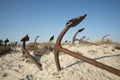 EUROPE PORTUGAL ALGARVE TAVIRA BARRIL BEACH ANCHOR