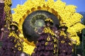 EUROPE PORTUGAL MADEIRA FUNCHAL FLOWER FESTIVAL Royalty Free Stock Photo