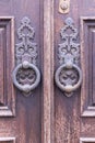 Metal pulls on an old wooden door