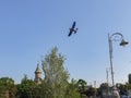 Aerial spraying in Timisoara