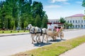 06 26 2021 Europe, Russia, the city of Rzhev. Summer, City Day, festivities. Horse-drawn carriage riding Royalty Free Stock Photo