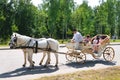 06 26 2021 Europe, Russia, the city of Rzhev. Summer, City Day, festivities. Horse-drawn carriage riding Royalty Free Stock Photo