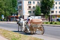 06 26 2021 Europe, Russia, the city of Rzhev. Summer, City Day, festivities. Horse-drawn carriage riding Royalty Free Stock Photo