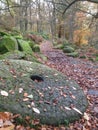 Europe UK England Derbyshire Padley Gorge