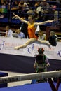 European Artistic Gymnastic Championships 2009