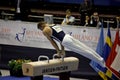 European Artistic Gymnastic Championships 2009