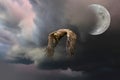 European Bald Eagle flies against a backdrop of a dramatically dark sky with the moon. Flying bird of prey during a hunt Royalty Free Stock Photo