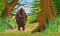 European bison Bison bonasus stands at the edge of an old grove with large trees, firs, rocks and green grass. European wood bison