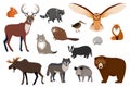 European and Canadian wild forest animals, set of isolated cartoon characters, vector illustration