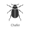 European chafer glyph icon