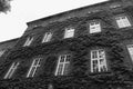 European classic building with squared windows bottom view in black and white. Royalty Free Stock Photo