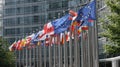 European Commission Flags Waving in Front of the Headquarters in Brussels During a Sunny Day Showcasing Unity Royalty Free Stock Photo