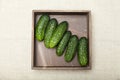 European cucumber diet. Bunch in wooden brown box Royalty Free Stock Photo