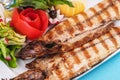 Steak of river fish with white meat, served with vegetables, lemon and arugula and tomato salad Royalty Free Stock Photo