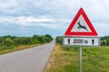 European Deer crossing road traffic sign, Deer Xing in nature