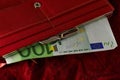 European Euro Notes in a Purse