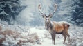 The European fallow deer on snowy Day