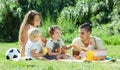 European familywith kids having picnic Royalty Free Stock Photo