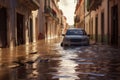 European Flood Crisis Documenting the Submersion of City Roads
