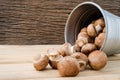 European food concept mushroom soup with champignon set up with brown background. Champignon mushroom or Button mushroom they are Royalty Free Stock Photo