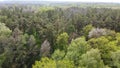 European forest, aerial view. Forest landscape in spring Royalty Free Stock Photo