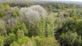 European forest, aerial view. Forest landscape in spring Royalty Free Stock Photo