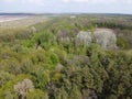 European forest, aerial view. Forest landscape in spring Royalty Free Stock Photo