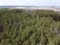 European forest, aerial view. Forest landscape in spring Royalty Free Stock Photo