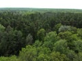 European forest, aerial view. Forest landscape in spring Royalty Free Stock Photo