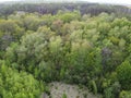 European forest, aerial view. Forest landscape in spring Royalty Free Stock Photo