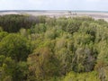 European forest, aerial view. Forest landscape in spring Royalty Free Stock Photo