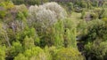 European forest, aerial view. Forest landscape in spring Royalty Free Stock Photo